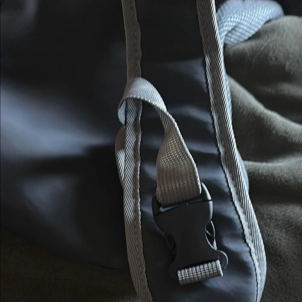 Blue and Gray pet carrier backpack